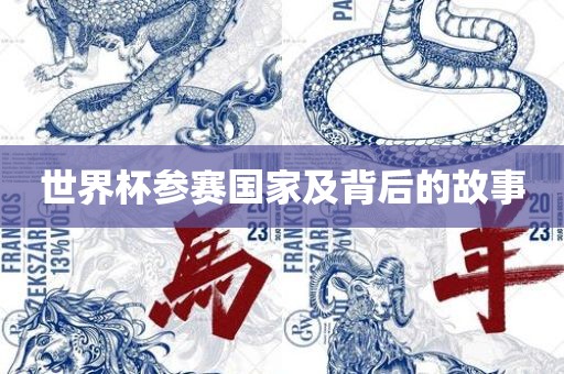 世界杯参赛国家及背后的故事