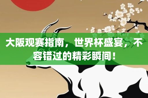 大阪观赛指南，世界杯盛宴，不容错过的精彩瞬间！