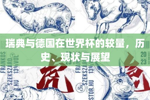 瑞典与德国在世界杯的较量，历史、现状与展望漯河市盈旭机械设备有限公司