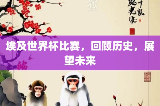 历史与未来展望 第2页
