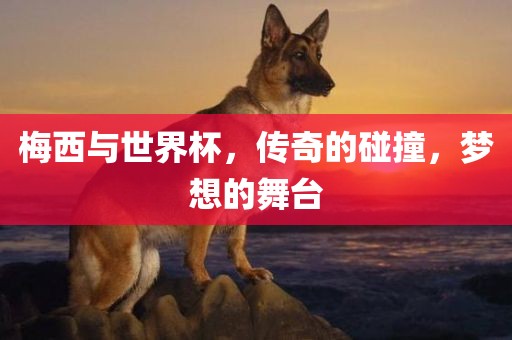 梅西与世界杯，传奇的碰撞，梦想的舞台