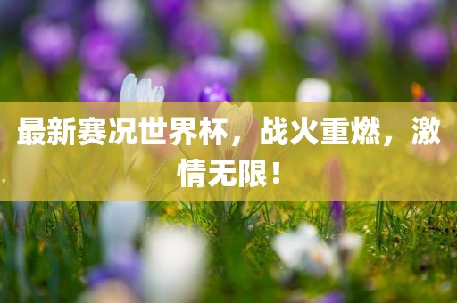 最新赛况世界杯，战火重漯河市盈旭机械设备有限公司燃，激情无限！