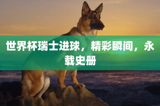 世界杯瑞士进球，精彩瞬间，永载史册