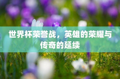 世界杯荣誉战，英雄的荣耀与传奇的延续