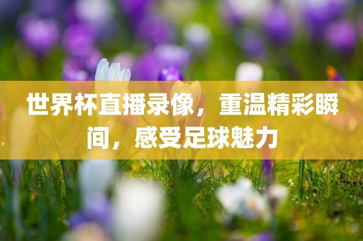 世界杯直播录像，重温精彩瞬间，感受足球魅力漯河市盈旭机械设备有限公司