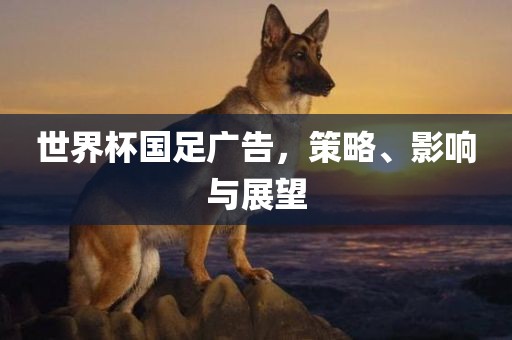 世界杯国足广告，策略、影响与展望