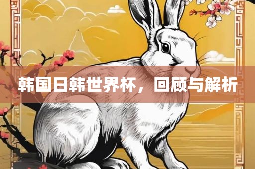 韩国日韩世界杯，回顾与解析