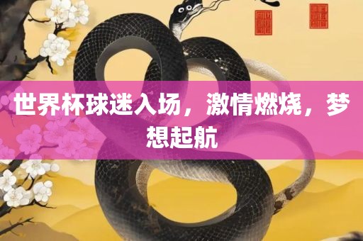 世界杯球迷入场，激情燃烧，梦想起航漯河市盈旭机械设备有限公司