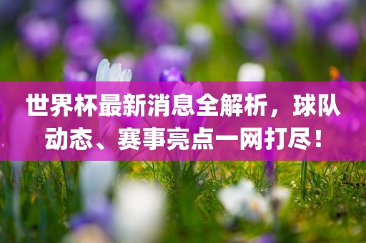 世界杯最新消息全解析，球队动态、赛事亮点一网打尽！