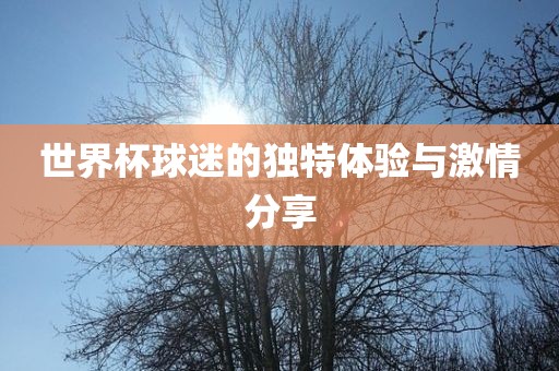 世界杯球迷的独特体验与激情分享漯河市盈旭机械设备有限公司