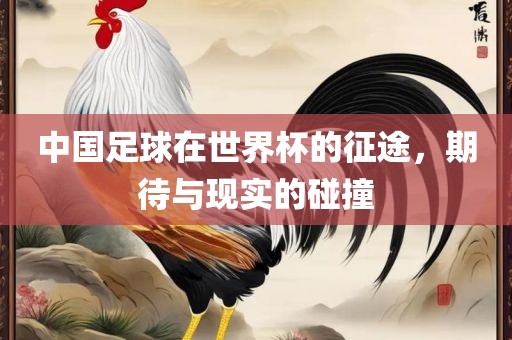 中国足球在世界杯的征途，期待与现实的碰撞