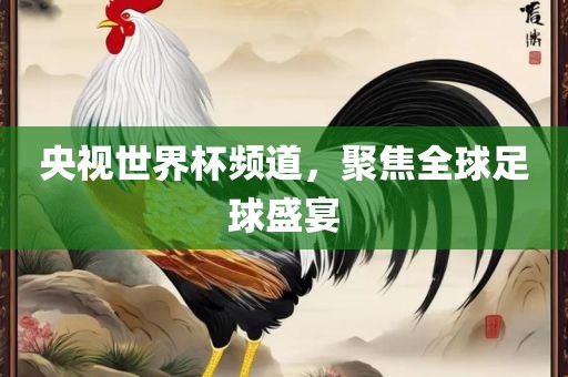 央视世界杯频道，聚焦全球足球盛宴