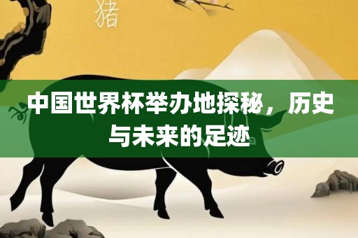 中国世界杯举办地探秘，历史与未来的足迹