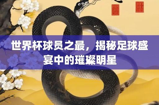 世界杯球员之最，揭秘足球盛宴中的璀璨明星