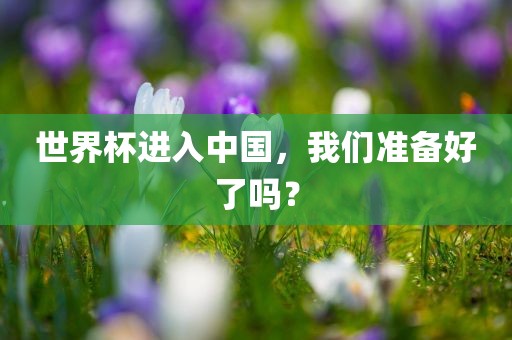 世界杯进入中国，我们准备好了吗？漯河市盈旭机械设备有限公司