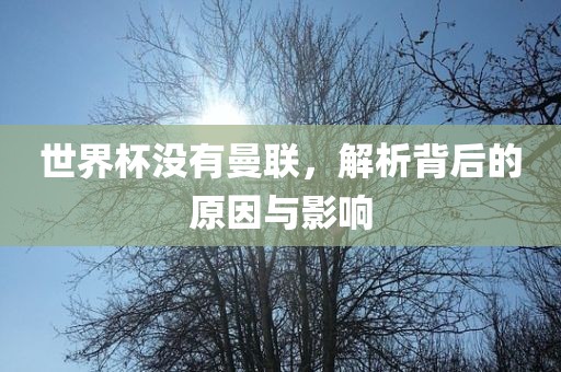 世界杯没有曼联，解析背后的原因与影响