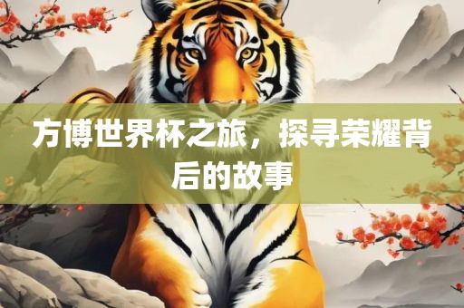方博世界杯之旅，探寻荣耀背后的故事