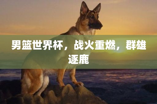 男篮世界杯，战火重燃，群雄逐鹿
