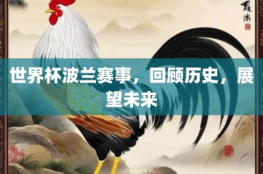 世界杯波兰赛事，回顾历史，展望未来