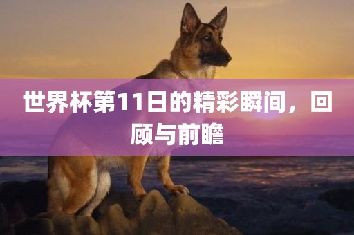 世界杯第11日的精彩瞬间，回顾与前瞻