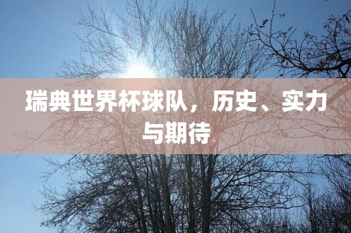 瑞典世界杯球队，历史、实力与期待