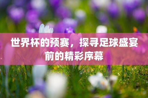 世界杯的预赛，探寻足球盛宴前的精彩序幕