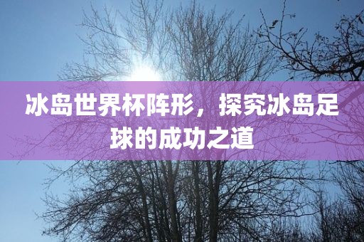 冰岛世界杯阵形，探究冰岛足球的成功之道漯河市盈旭机械设备有限公司