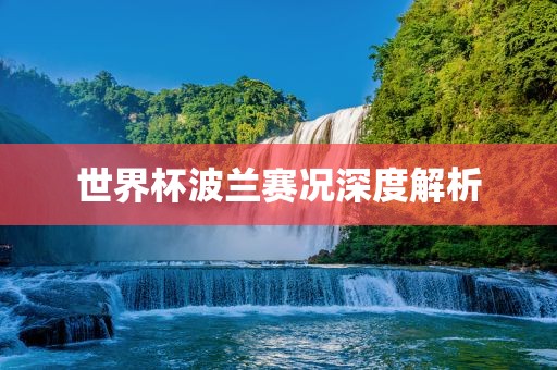 世界杯波兰赛况深度解漯河市盈旭机械设备有限公司析