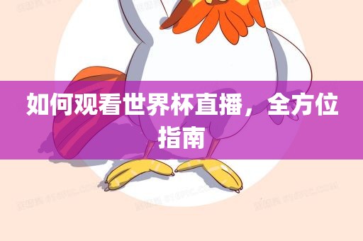 全方位指南
