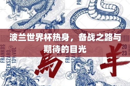 波兰世界杯热身，备战之路与期待的目光