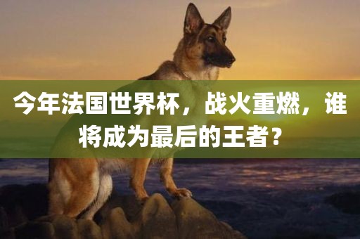今年法国世界杯，战火重燃，谁将成为最后的王者？