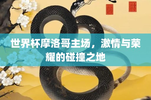 世界杯摩洛哥主场，激情与荣耀的碰撞之地漯河市盈旭机械设备有限公司