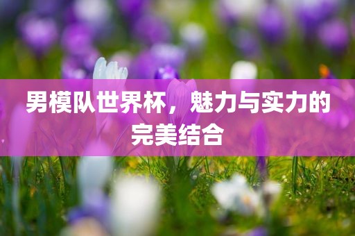 男模队世界杯，魅力与实力的完美结合漯河市盈旭机械设备有限公司
