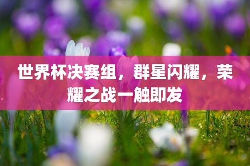 世界杯决赛组，群星闪耀，荣耀之战一触即发