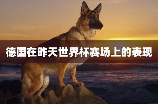 德国在昨天世界杯赛场上的表现漯河市盈旭机械设备有限公司