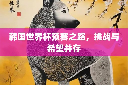 韩国世界杯预赛之路，挑战与希望并存