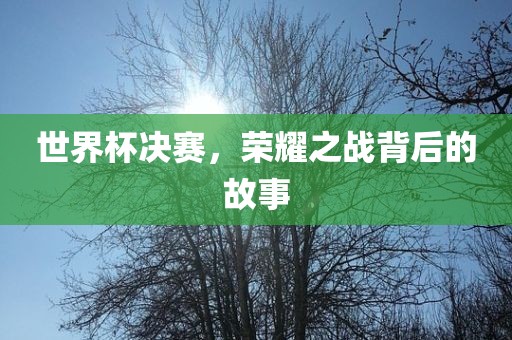 世界杯决赛，荣耀之战背后的故事