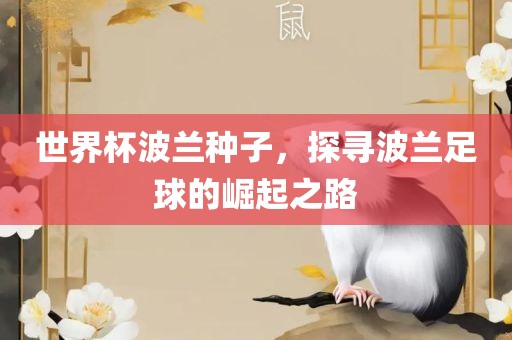 世界杯波兰种子，探寻波兰足球的崛起之路
