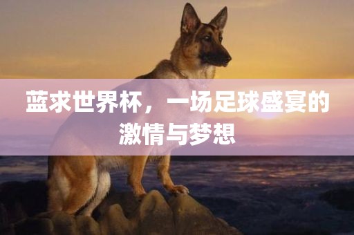 蓝求世界杯，一场足球盛宴的激情与梦想漯河市盈旭机械设备有限公司