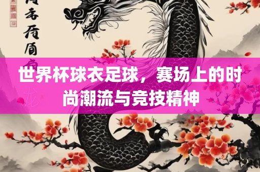 世界杯球衣足球，赛场上的时尚潮流与竞技精神