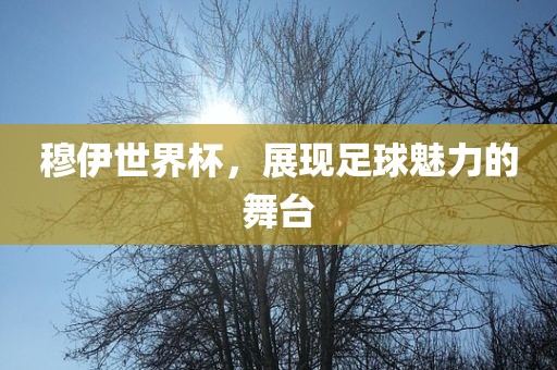 穆伊世界杯，展现足球魅力的舞台漯河市盈旭机械设备有限公司