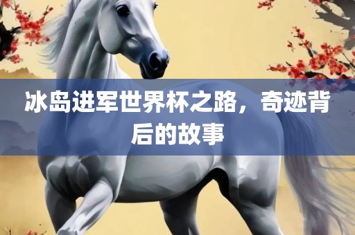冰岛进军世界杯之路，奇迹背后的故事