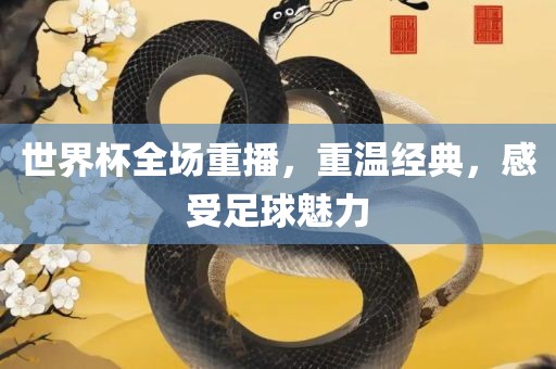 世界杯全场重播，重温经典，感受足球魅力漯河市盈旭机械设备有限公司