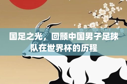 国足之光漯河市盈旭机械设备有限公司，回顾中国男子足球队在世界杯的历程