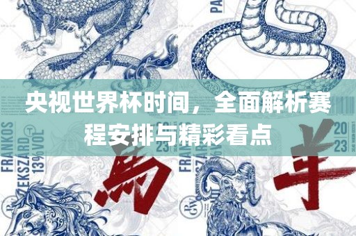 央视世界杯时间，全面解析赛程安排与精彩看点