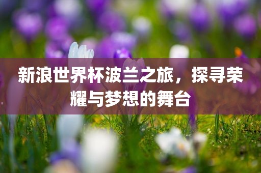 新浪世界杯波兰之旅，探寻荣耀与梦想的舞台
