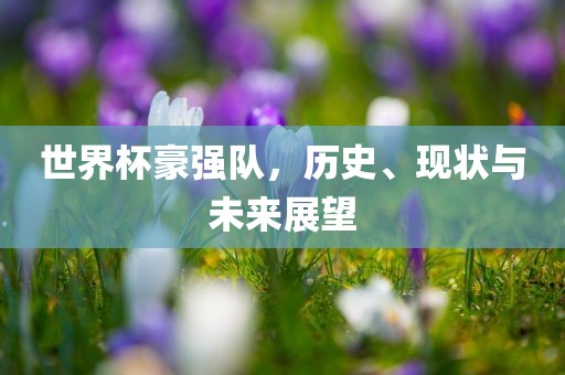 世界杯豪强队，历史、现状与未来展望