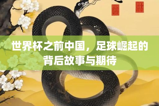 shishan 第3页