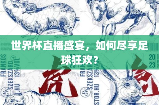 世界杯直播盛宴，如何尽享足球狂欢？