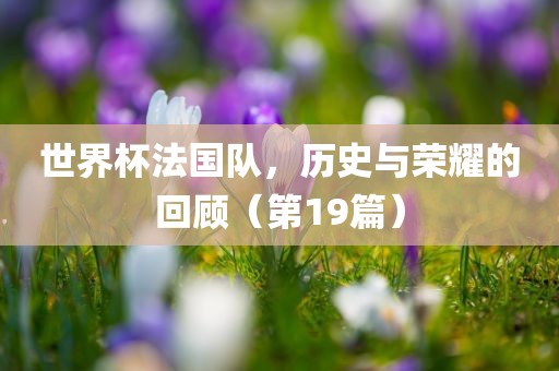 世界杯法国队，历史与荣耀的回顾（第19篇）